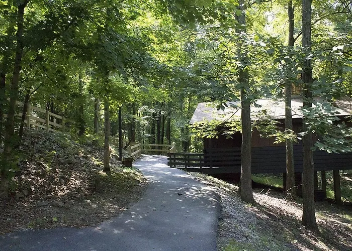 Lodge Giant Makanda