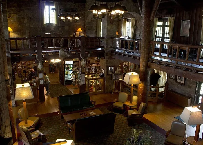Giant Lodge Makanda