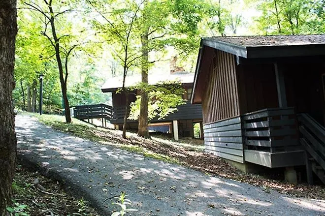 Lodge Giant *